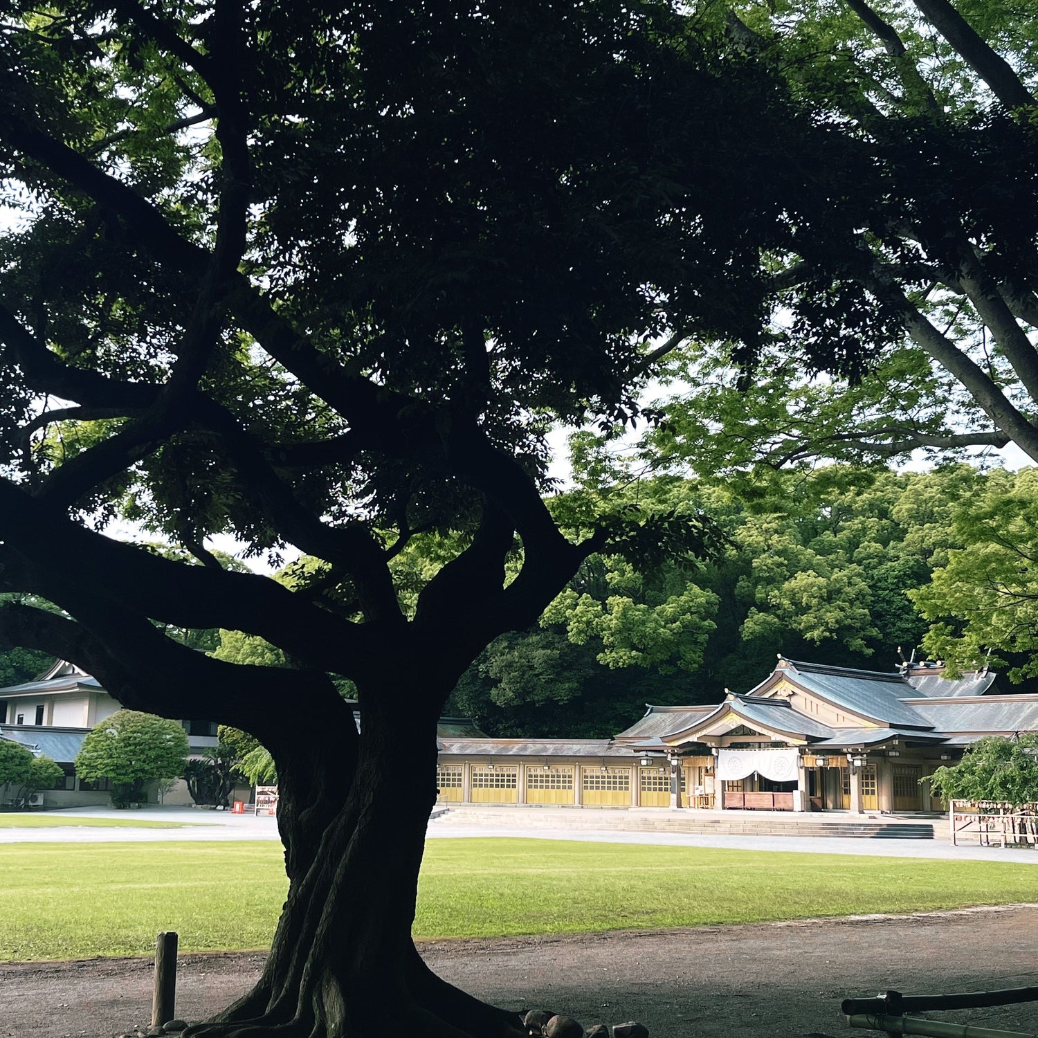 大地のシリーズ