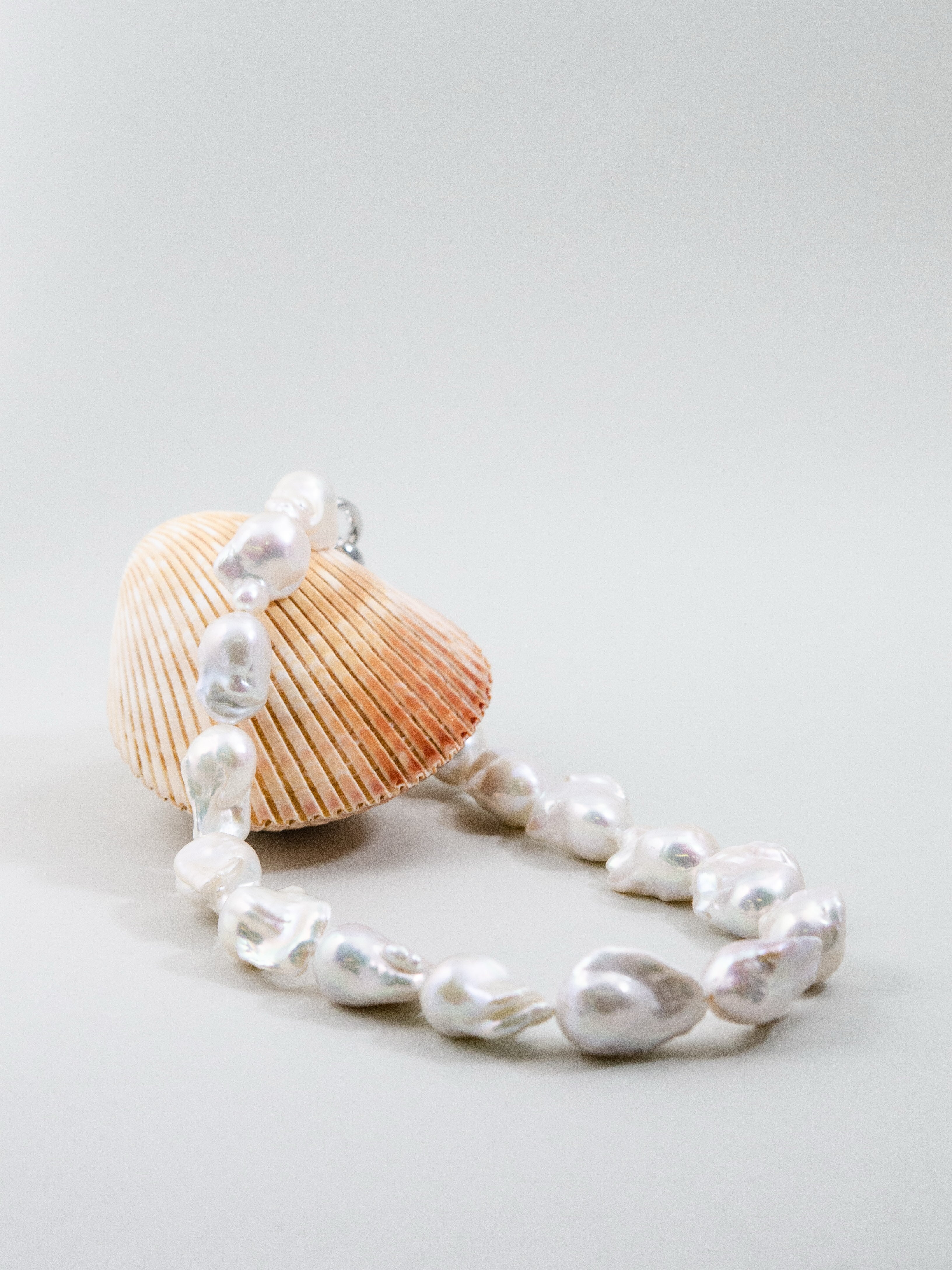 唯一無二の輝き ネックレス 貝殻ディスプレイ 横からのアングル