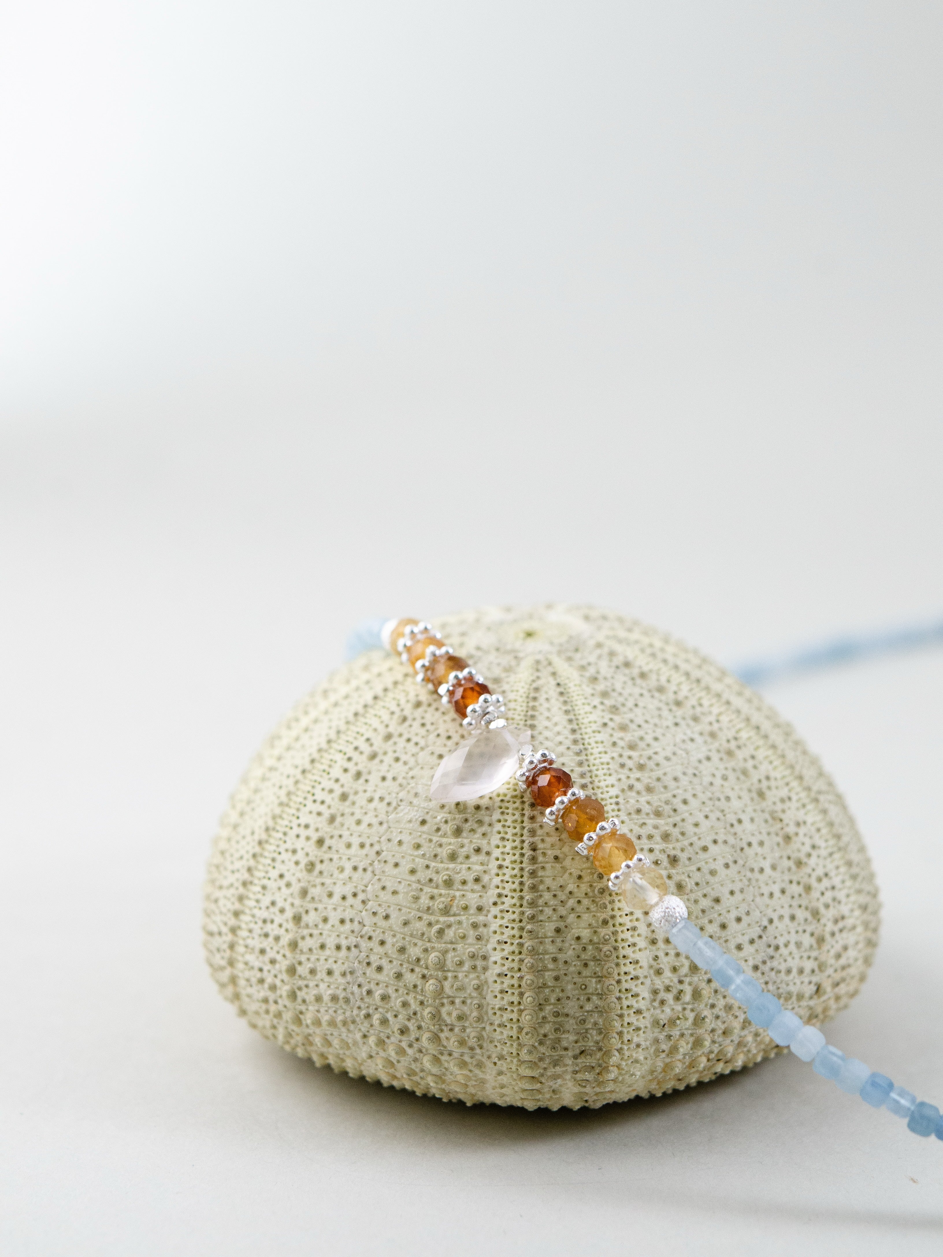 夏 アクセサリー 置き画 海のイメージ ウニ殻 ディスプレイ